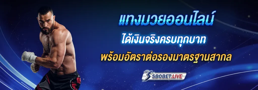 แทงมวย ออนไลน์